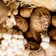 assorted mushrooms in a bowl